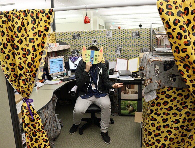 Every inch of Luis' cubicle is covered in cat prints and cat pictures.