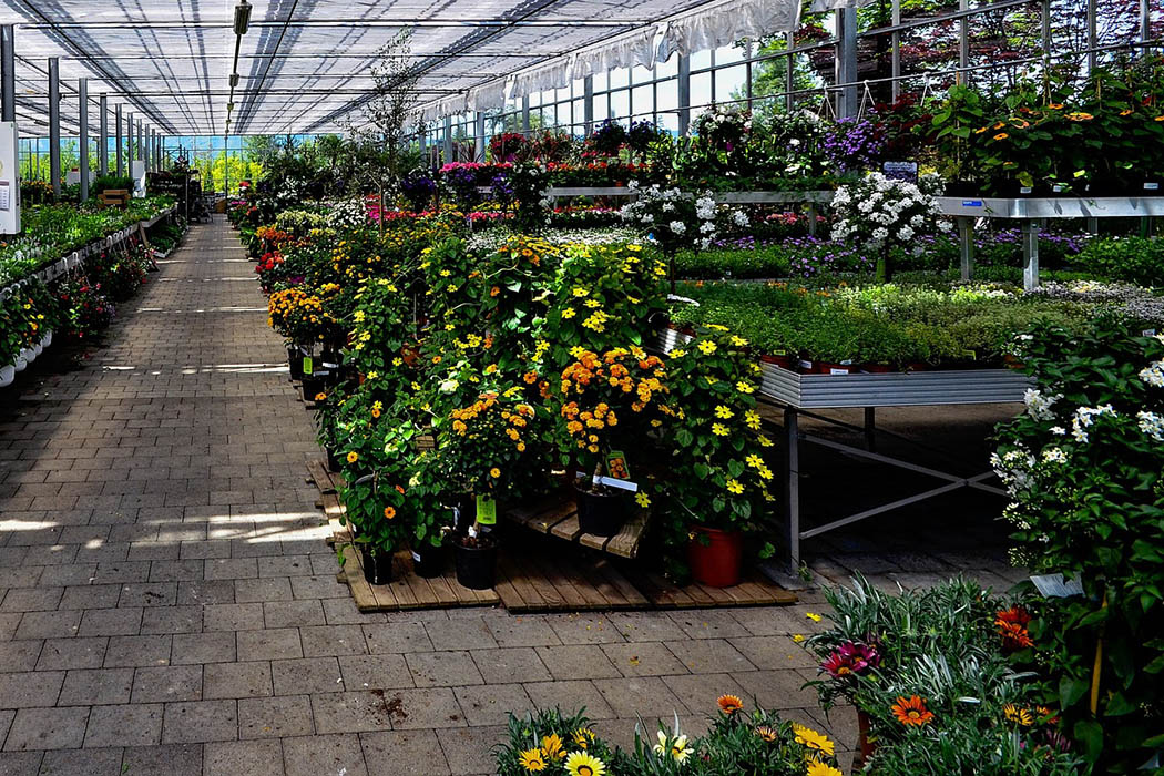 Support local schools at upcoming plant sales