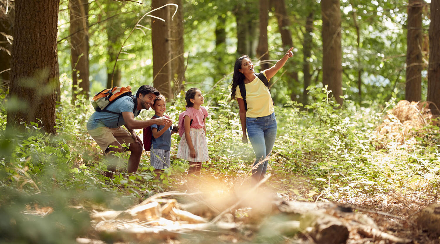 Family on a nature hike
