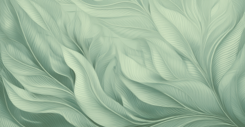calming drawing of leaves layered one over the other